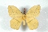  ( - BC-Her3291)  @11 [ ] Copyright (2010) Unspecified Research Collection of Daniel Herbin