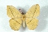  ( - BC-Her3292)  @11 [ ] Copyright (2010) Unspecified Research Collection of Daniel Herbin