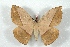  ( - BC-Her3293)  @11 [ ] Copyright (2010) Unspecified Research Collection of Daniel Herbin