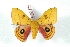  ( - BC-Her3345)  @15 [ ] Copyright (2010) Unspecified Research Collection of Daniel Herbin