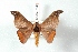  ( - BC-Her3348)  @13 [ ] Copyright (2010) Unspecified Research Collection of Daniel Herbin