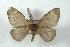  ( - BC-Her3362)  @11 [ ] Copyright (2010) Unspecified Research Collection of Daniel Herbin