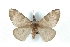  ( - BC-Her3366)  @14 [ ] Copyright (2010) Unspecified Research Collection of Daniel Herbin