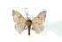  ( - BC-Her3370)  @11 [ ] Copyright (2010) Unspecified Research Collection of Daniel Herbin