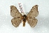  ( - BC-Her3372)  @11 [ ] Copyright (2010) Unspecified Research Collection of Daniel Herbin