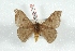  ( - BC-Her3373)  @11 [ ] Copyright (2010) Unspecified Research Collection of Daniel Herbin