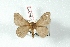  ( - BC-Her3374)  @11 [ ] Copyright (2010) Unspecified Research Collection of Daniel Herbin
