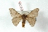  ( - BC-Her3376)  @11 [ ] Copyright (2010) Unspecified Research Collection of Daniel Herbin