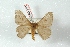  ( - BC-Her3377)  @11 [ ] Copyright (2010) Unspecified Research Collection of Daniel Herbin