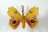  ( - BC-Her3389)  @13 [ ] Copyright (2010) Unspecified Research Collection of Daniel Herbin