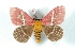  ( - BC-Her3405)  @13 [ ] Copyright (2010) Unspecified Research Collection of Daniel Herbin