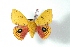  ( - BC-Her3533)  @14 [ ] Copyright (2010) Unspecified Research Collection of Daniel Herbin