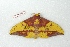  ( - BC-Her3539)  @13 [ ] Copyright (2010) Unspecified Research Collection of Daniel Herbin