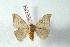 ( - BC-Her3554)  @13 [ ] Copyright (2010) Unspecified Research Collection of Daniel Herbin