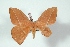  ( - BC-Her3579)  @11 [ ] Copyright (2010) Unspecified Research Collection of Daniel Herbin