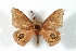  ( - BC-Her3603)  @11 [ ] Copyright (2010) Unspecified Research Collection of Daniel Herbin