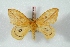  ( - BC-Her3611)  @11 [ ] Copyright (2010) Unspecified Research Collection of Daniel Herbin