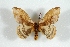  ( - BC-Her3620)  @11 [ ] Copyright (2010) Unspecified Research Collection of Daniel Herbin