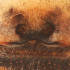  ( - SDNA018)  @11 [ ] No Rights Reserved (2024) Unspecified Carnegie Museum of Natural History