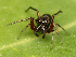 ( - KAL-177)  @14 [ ] CreativeCommons - Attribution (2014) Ryan Kaldari Unspecified
