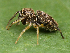  ( - KAL-178)  @14 [ ] CreativeCommons - Attribution (2014) Ryan Kaldari Unspecified