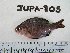  ( - JUPA-805)  @11 [ ] CreativeCommons - Attribution Share-Alike (2014) Unspecified Hawaii Preparatory Academy