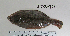  ( - JUPA-821)  @11 [ ] CreativeCommons - Attribution Share-Alike (2014) Unspecified Hawaii Preparatory Academy