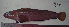  ( - ATS-84)  @11 [ ] CreativeCommons - Attribution Share-Alike (2014) Unspecified Apple Valley High School