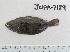  ( - JUPA-7189)  @11 [ ] CreativeCommons - Attribution Share-Alike (2014) Unspecified Foothill Technology High School