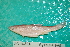  ( - UW-102)  @11 [ ] CreativeCommons - Attribution Share-Alike (2014) Unspecified Foothill Technology High School