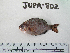  ( - JUPA-802)  @14 [ ] CreativeCommons - Attribution Share-Alike (2013) Unspecified Reseda High Schoo