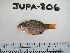  ( - JUPA-806)  @11 [ ] CreativeCommons - Attribution Share-Alike (2013) Unspecified Reseda High Schoo