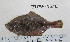  ( - JUPA-822)  @11 [ ] CreativeCommons - Attribution Share-Alike (2013) Unspecified Channel Islands High School