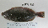  ( - JUPA-825)  @14 [ ] CreativeCommons - Attribution Share-Alike (2013) Unspecified Channel Islands High School