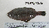  ( - JUPA-826)  @11 [ ] CreativeCommons - Attribution Share-Alike (2013) Unspecified Channel Islands High School