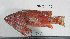  ( - MILO-986)  @11 [ ] CreativeCommons - Attribution Share-Alike (2014) Unspecified North Smithfield High School