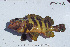  ( - FT-7119)  @11 [ ] CreativeCommons - Attribution Share-Alike (2014) Unspecified Cate School