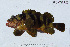  ( - FT-7120)  @11 [ ] CreativeCommons - Attribution Share-Alike (2014) Unspecified Cate School