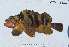 ( - FT-7122)  @11 [ ] CreativeCommons - Attribution Share-Alike (2014) Unspecified Cate School