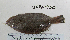  ( - JUPA-830)  @11 [ ] CreativeCommons - Attribution Share-Alike (2014) Unspecified La Serna High school