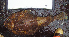  ( - ATS-89)  @12 [ ] CreativeCommons - Attribution Share-Alike (2013) Unspecified Foothill Technology High School