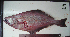  ( - ATS-95)  @14 [ ] CreativeCommons - Attribution Share-Alike (2013) Unspecified Foothill Technology High School