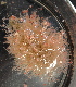  ( - 14_UNE_SL_003)  @13 [ ] CreativeCommons - Attribution Share-Alike (2015) Unspecified University of New England