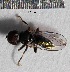  ( - S14MT48)  @11 [ ] CreativeCommons - Attribution Share-Alike (2015) Unspecified UCSD