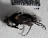  ( - S14MT105)  @12 [ ] CreativeCommons - Attribution Share-Alike (2015) Unspecified UCSD