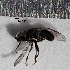  ( - S14MT24)  @12 [ ] CreativeCommons - Attribution Share-Alike (2015) Unspecified UCSD