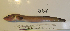  ( - MLML-562)  @13 [ ] CreativeCommons - Attribution Share-Alike (2013) Unspecified San Juan Hills High School