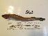  ( - MLML-563)  @13 [ ] CreativeCommons - Attribution Share-Alike (2013) Unspecified San Juan Hills High School
