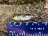  ( - 17_UNE_VW_03)  @11 [ ] CreativeCommons - Attribution Share-Alike (2017) Unspecified University of New England