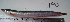  ( - ATS-190)  @14 [ ] CreativeCommons - Attribution Share-Alike (2013) Unspecified Roseland University Prep